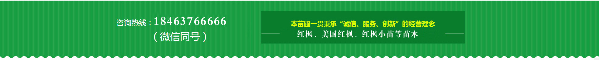 ȩ